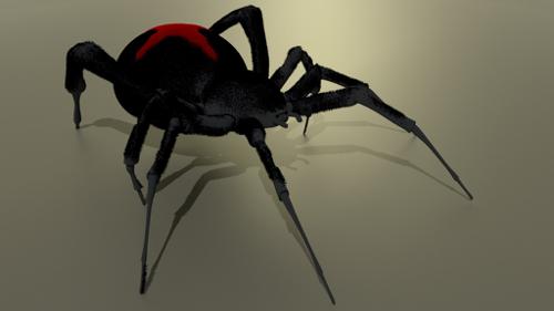 Itsy bitsy spider preview image